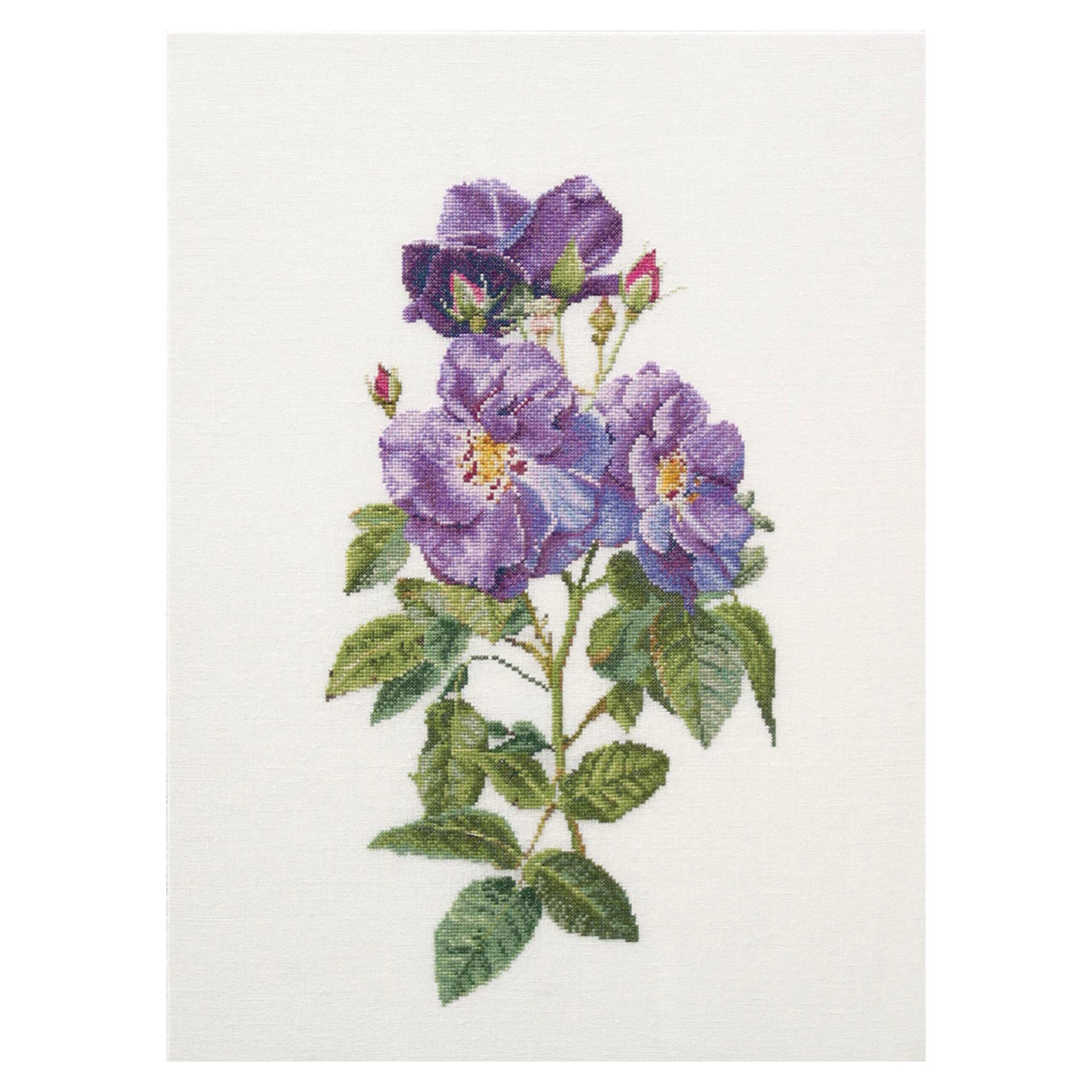 【新品未使用】クロスステッチキット/Thea Gouverneur 森のリス 新品未使用】クロスステッチキット/Thea Gouverneur 森のリス THEA