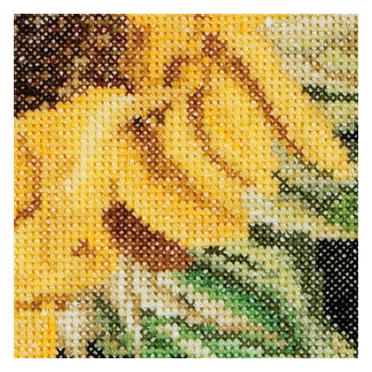 Sunflower - Aida - 18 - 488A-Thea Gouverneur Since 1959