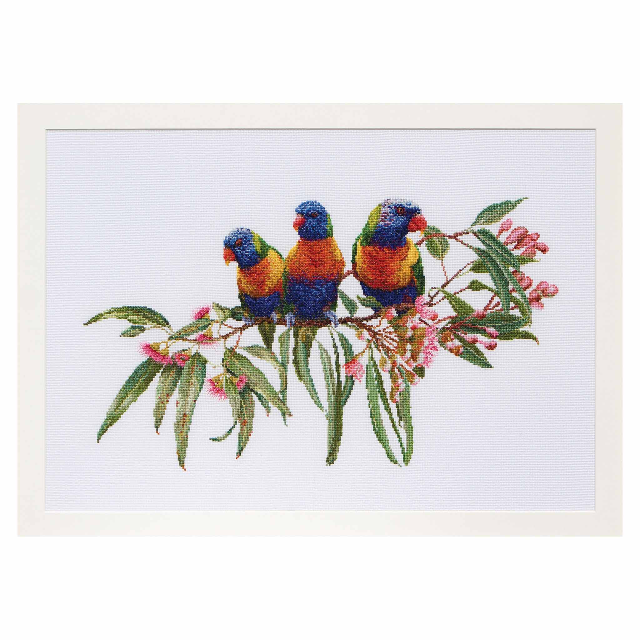 Counted Cross Stitch Kit Lorikeets Parrots and Flowers- Aida 16 Count