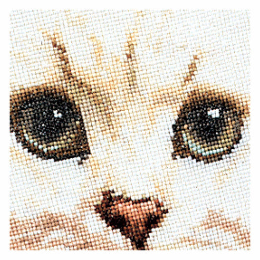Close up Cross Stitch White Persian Cat 