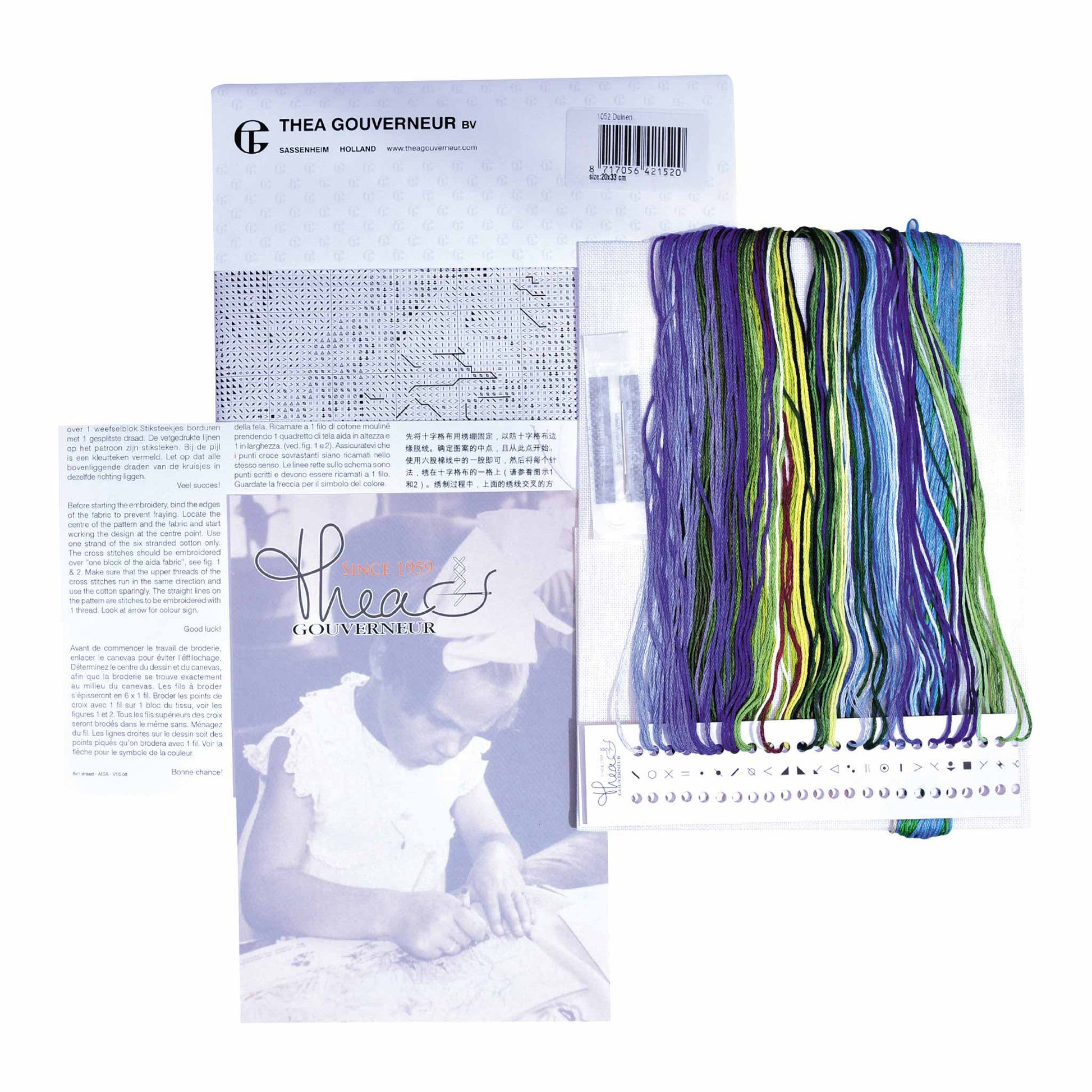 Embroidery kit with pattern and chart, needlework fabric, and DMC floss threads on a white background