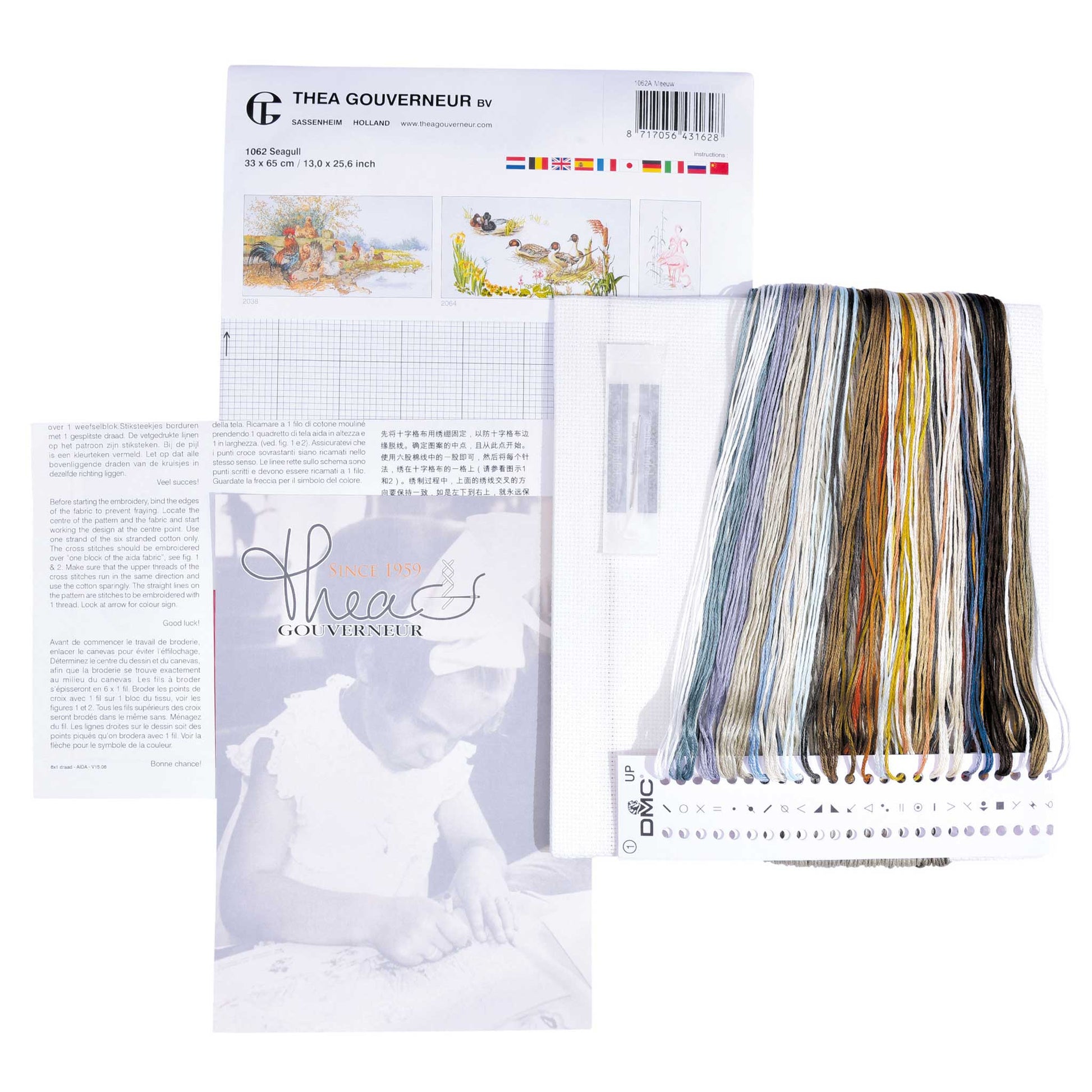 Embroidery kit with Aida needlework fabric and packaging displaying dmc embroidery threads and kit content Thea Gouverneur