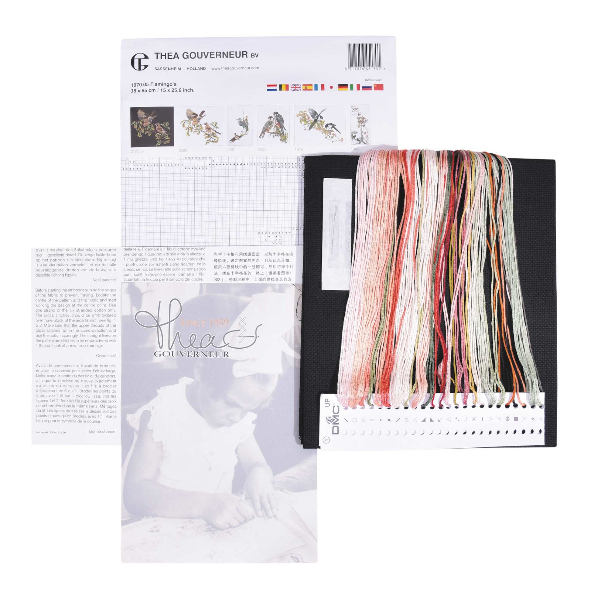 Embroidery kit content: Aida needlework fabrics, printed chart, colorful dmc embroidery threads presorted on the floss organizer