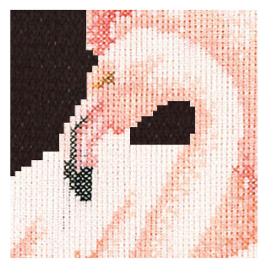 Counted Cross Stitch Kit Flamingo Birds - Aida Black close up