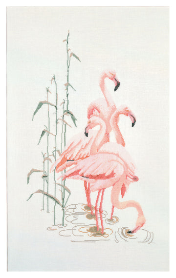 Flamingo  - Linen - 32 - 1070