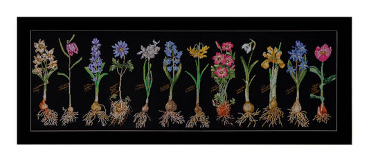 Bulbs - Aida Black - 18 - 1087.05
