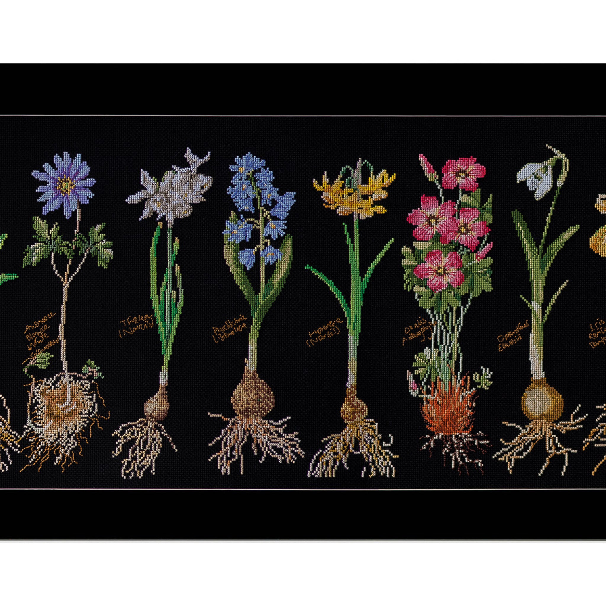 Bulbs - Aida Black - 18 - 1087.05