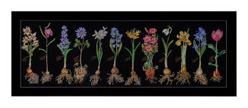 Bulbs - Aida Black - 18 - 1087.05