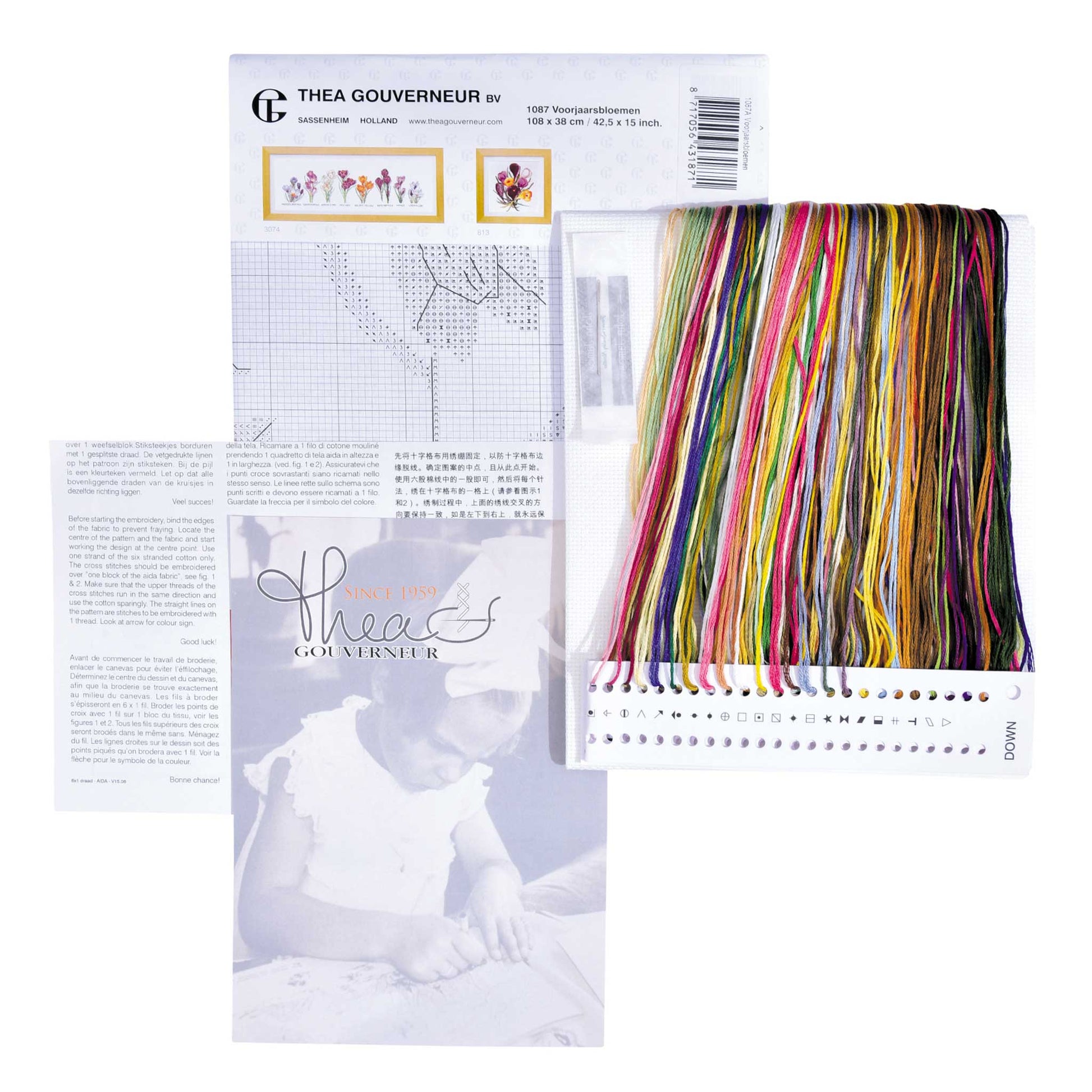 Embroidery kit content: Aida needlework fabrics, printed chart, colorful dmc embroidery threads presorted on the floss organizer