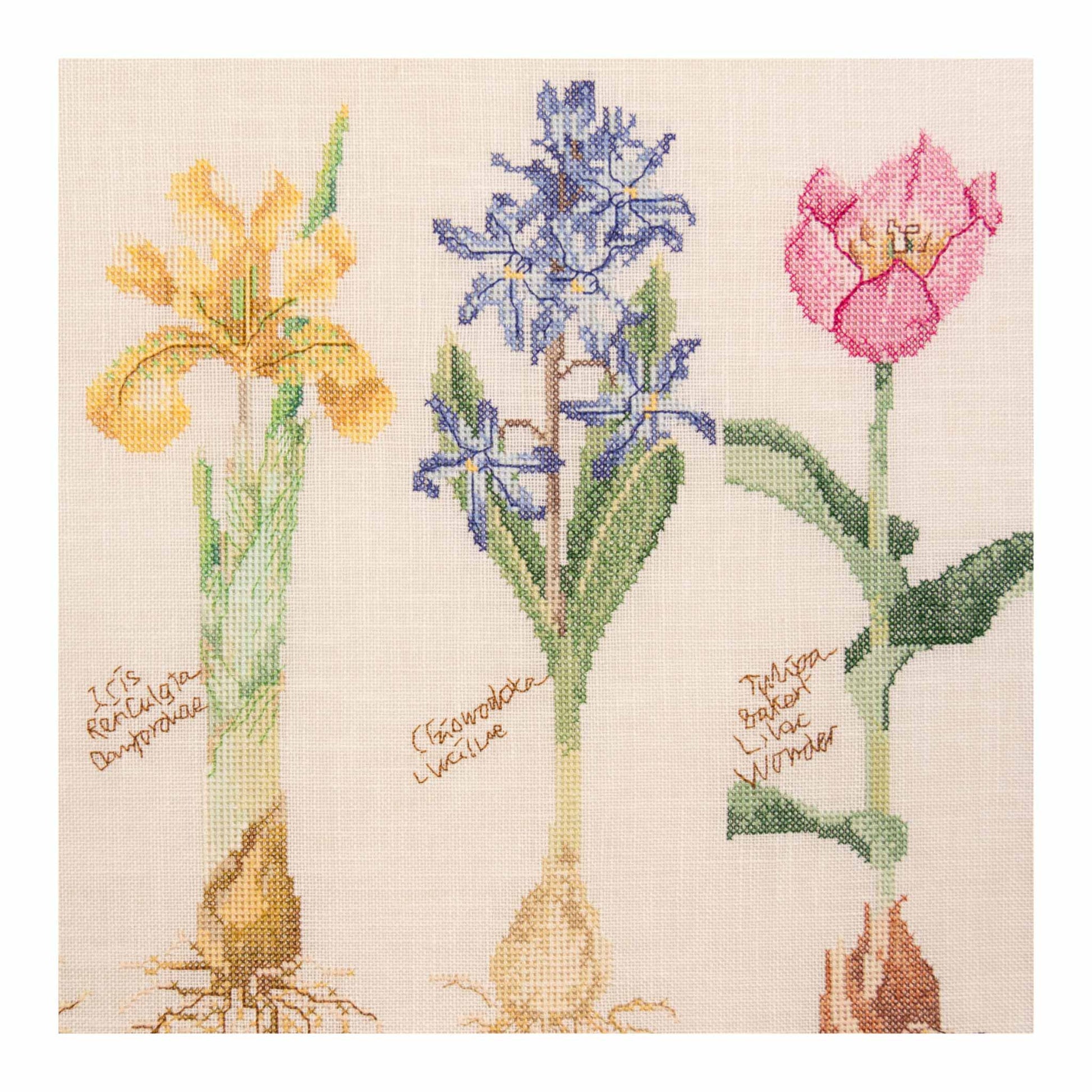 Cross-stitched flowers including a yellow iris, blue hyacinth, and pink tulip on a beige background.