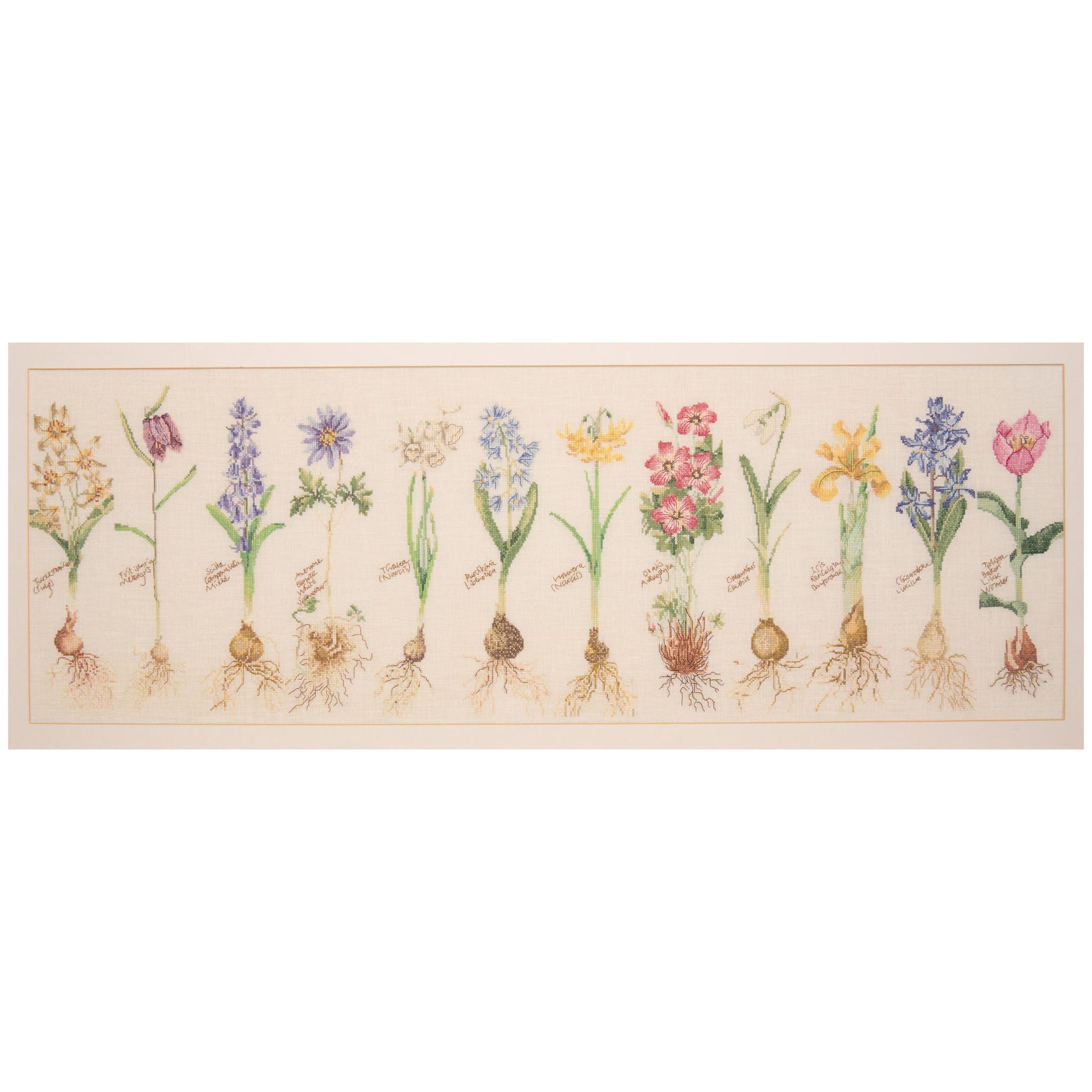 Counted Cross Stitch Kit  of various flowers and bulbs