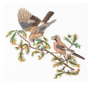 Jays - Linen - 36 - 2022