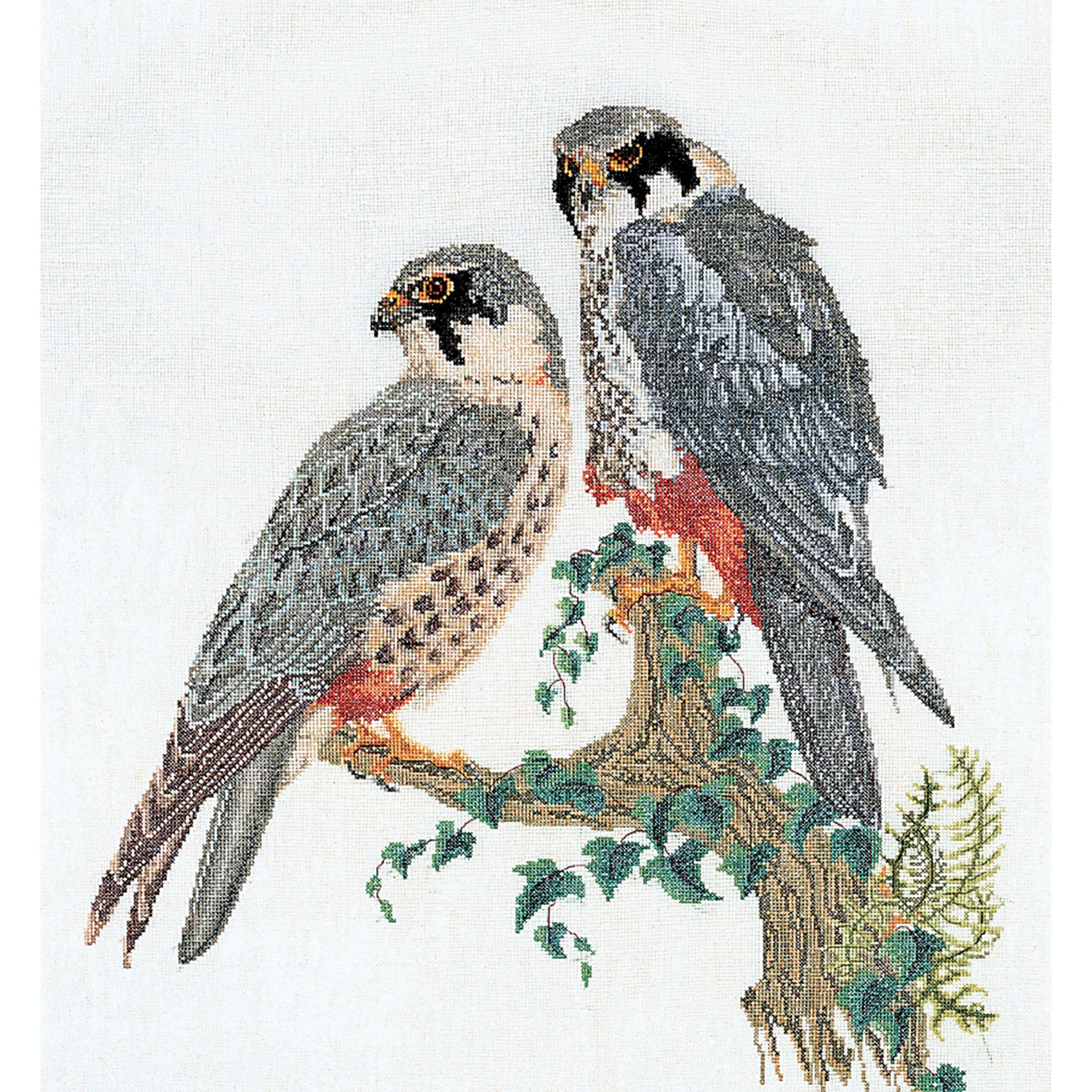 Falcons - Linen - 32 - 2024
