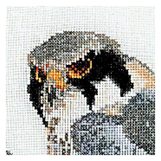 Falcons - Linen - 32 - 2024