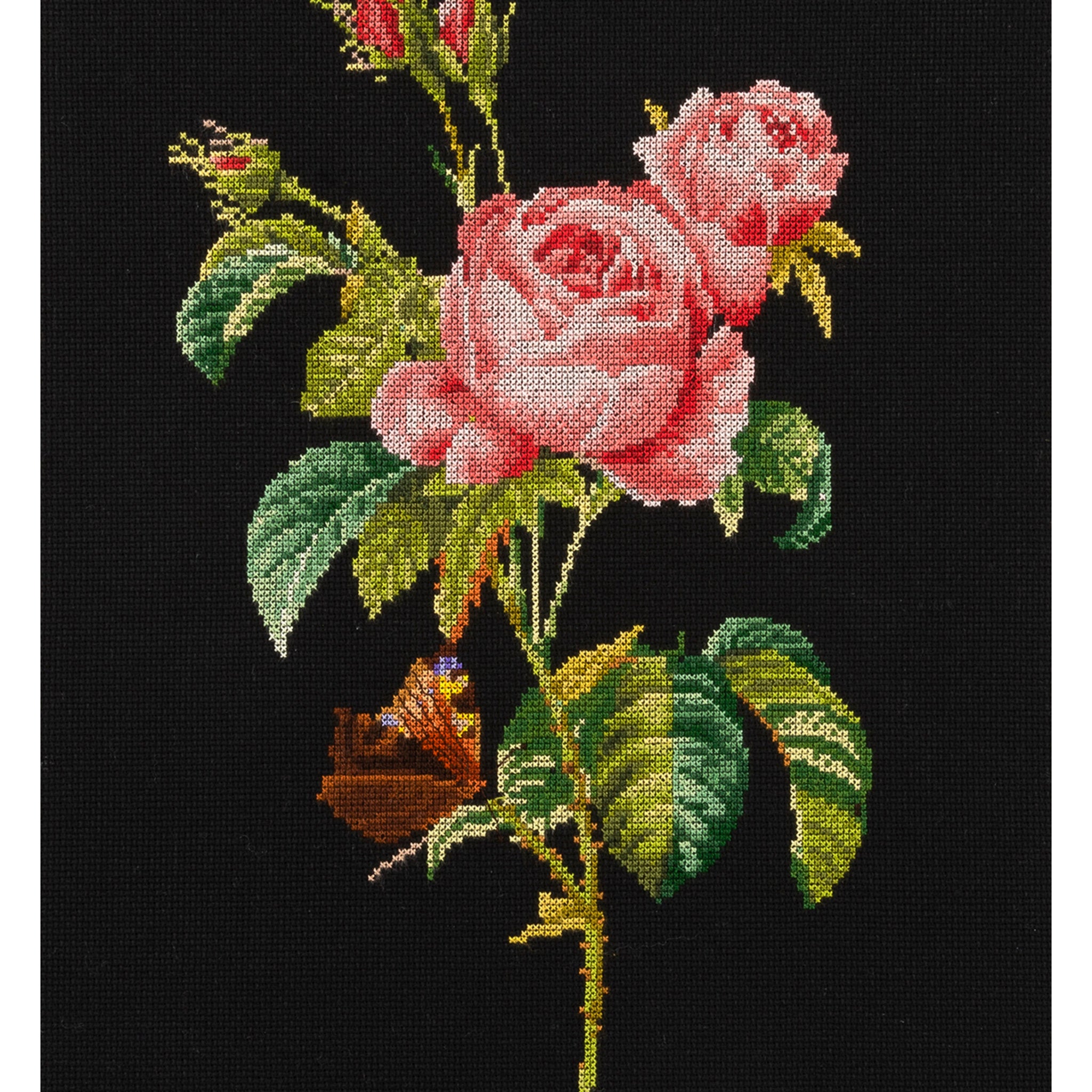 Rose Redouté - Aida Black - 18 - 2030.05