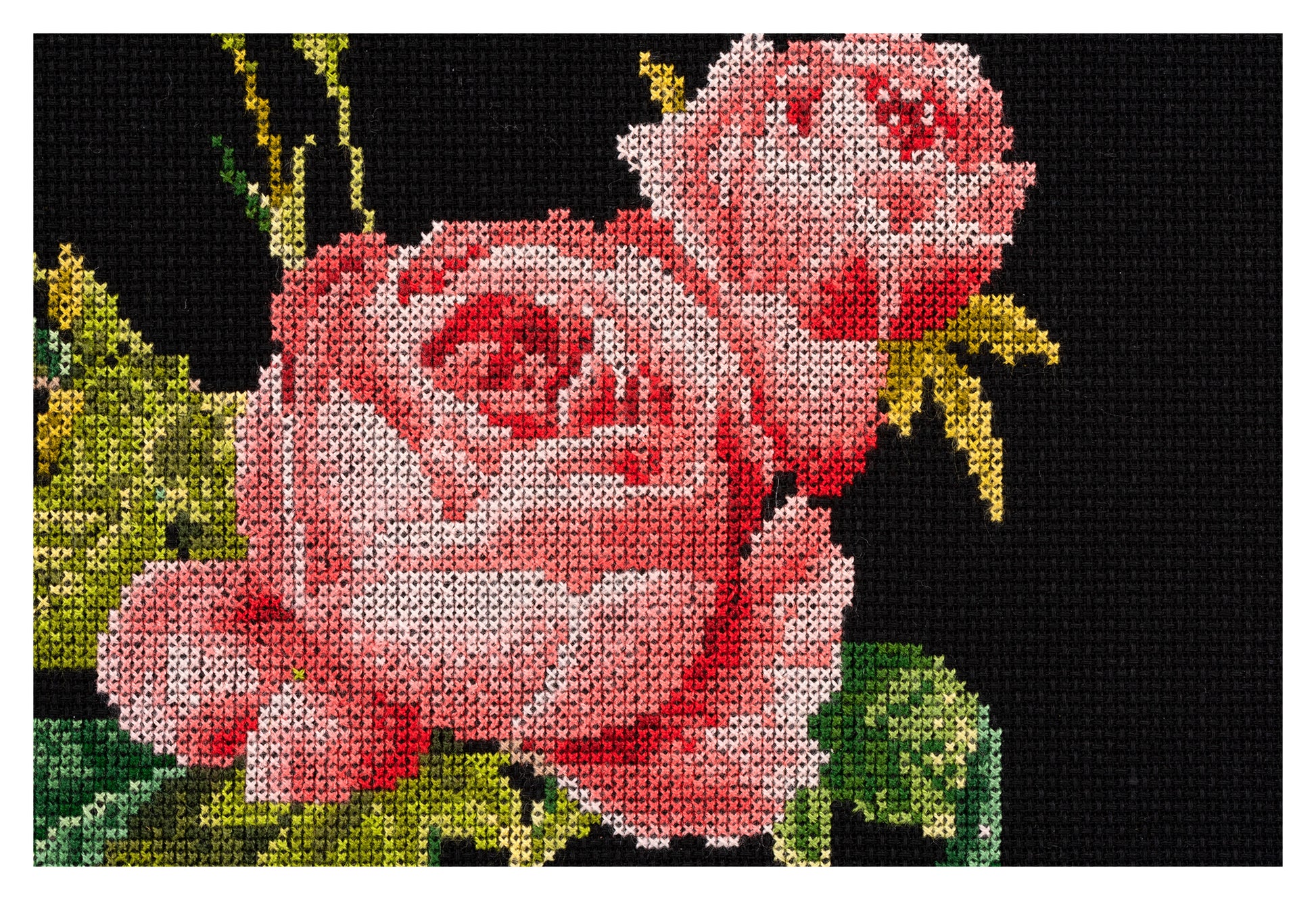Rose Redouté - Aida Black - 18 - 2030.05-Thea Gouverneur Since 1959