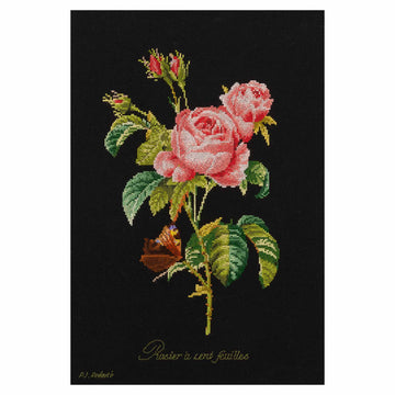 Rose Redouté - Aida Black - 18 - 2030.05