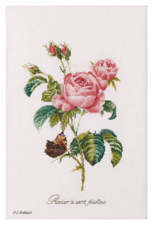 Rose Redouté - Linen - 36 - 2030