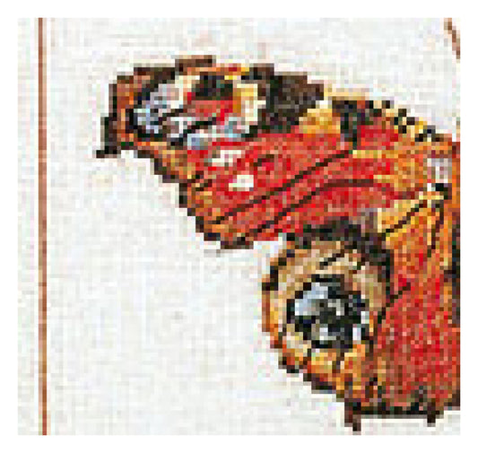 Butterflies - Aida - 16 - 2037A