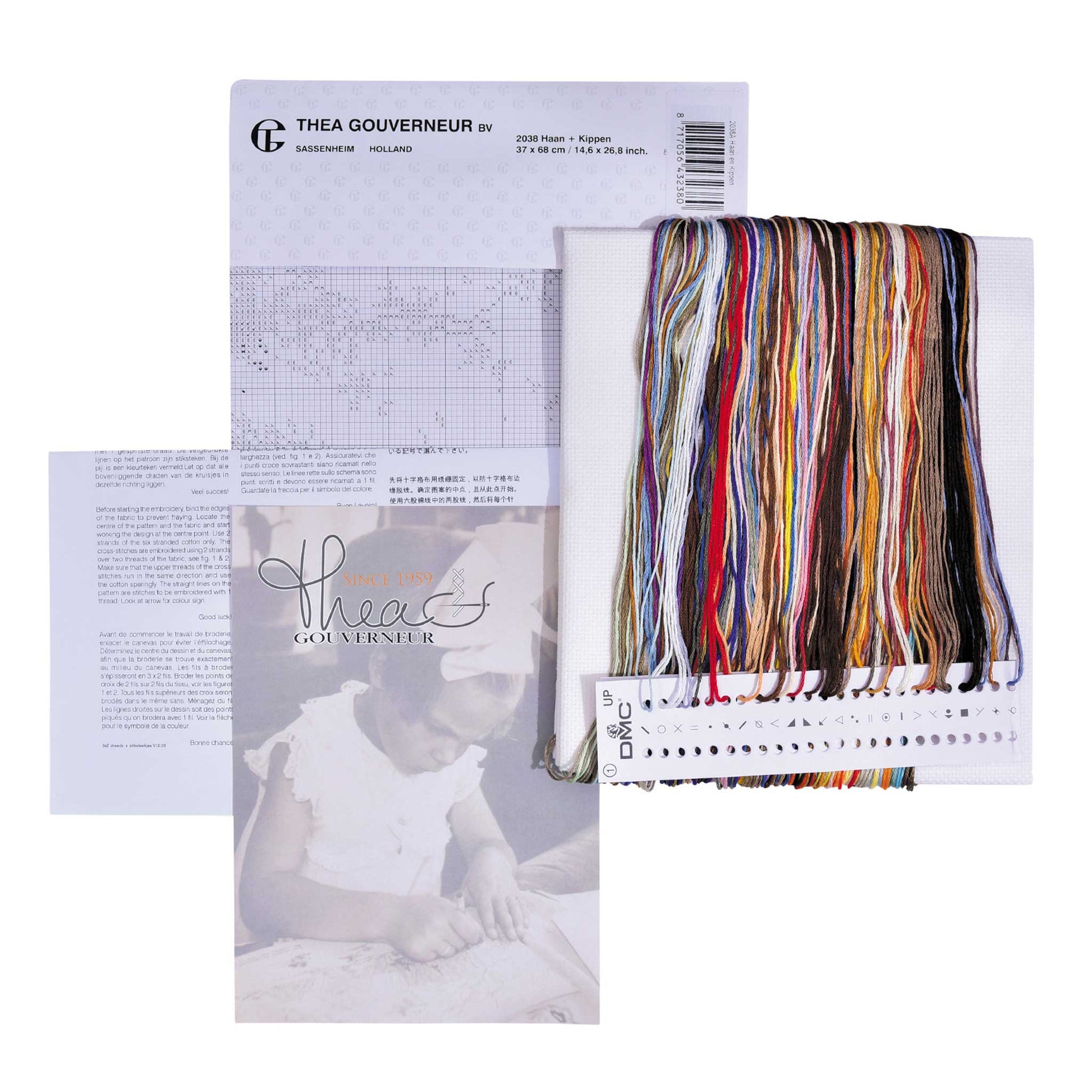 Embroidery kit with pattern and chart, needlework fabric, and threads on a white background