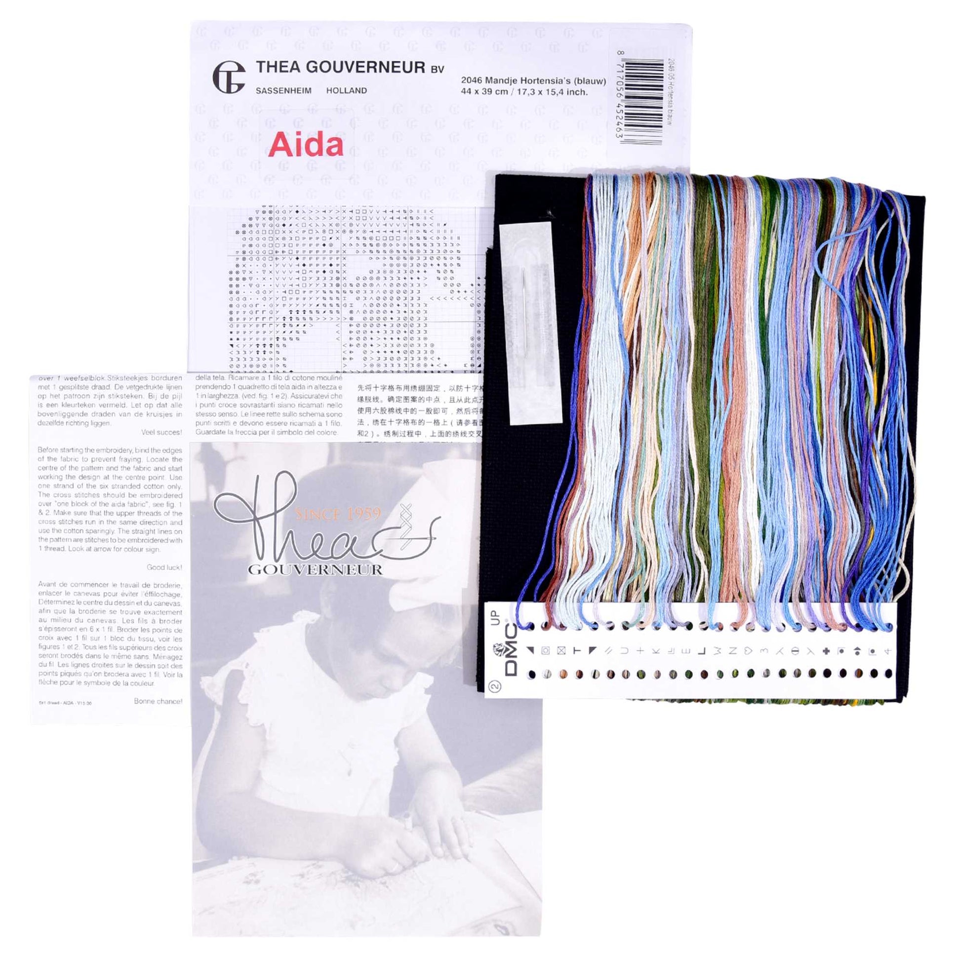Packaging of Thea Gouverneur embroidery kit with presorted floss of colorful mouline and product details.