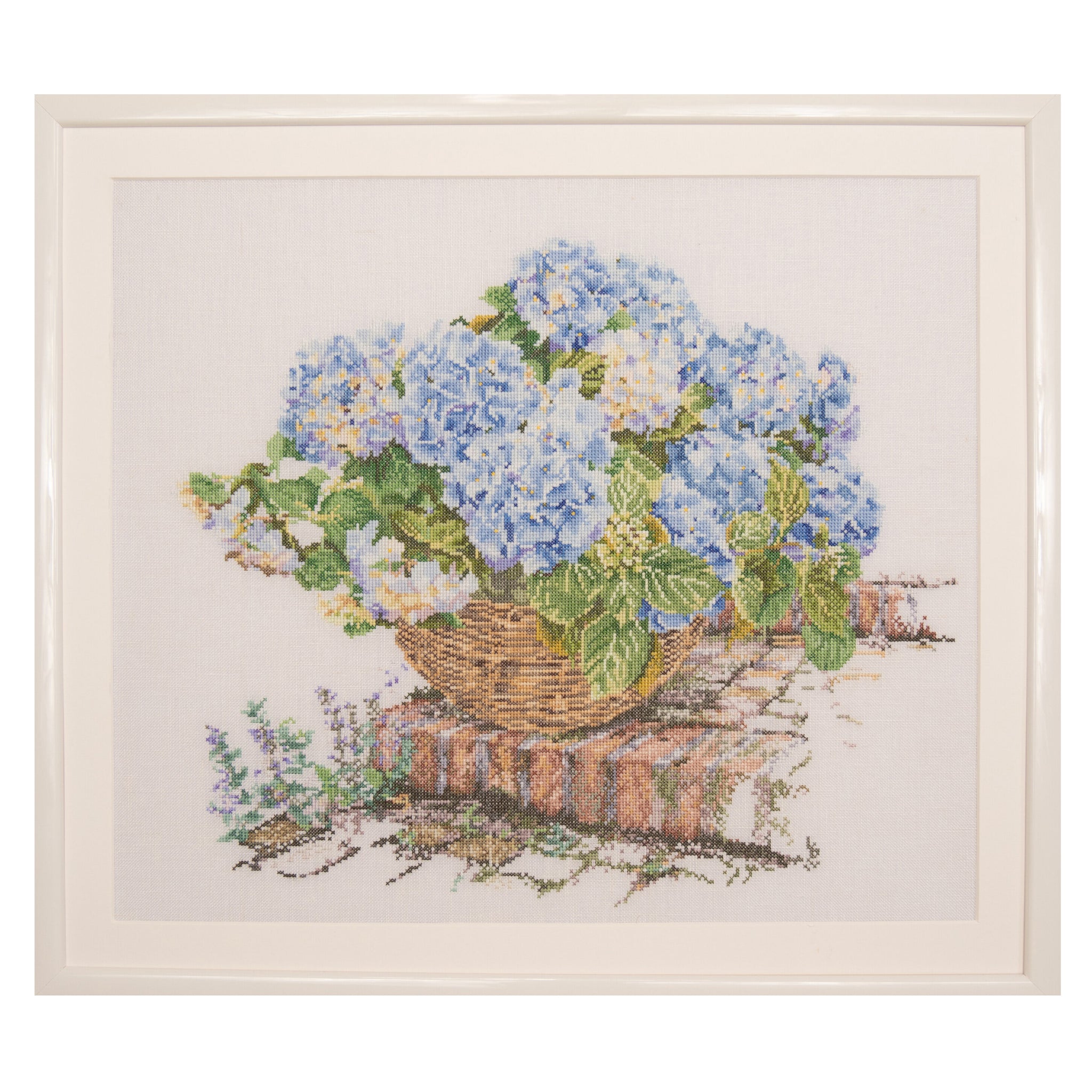 Blauwe Hortensia - Aida - 16 stuks - 2046A