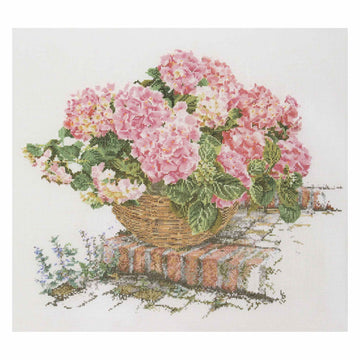 Pink Hydrangea - Aida - 16 - 2047A