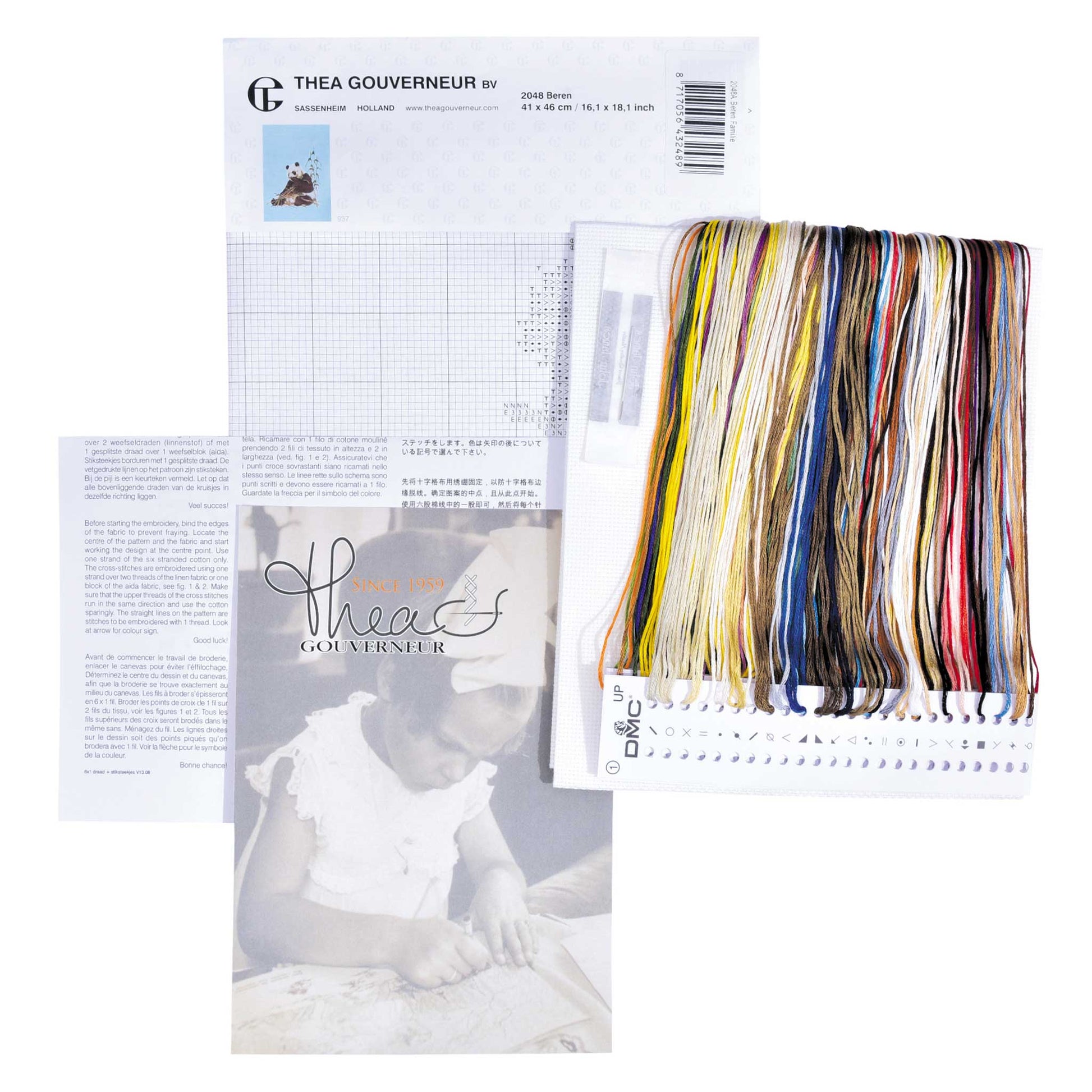Embroidery kit content: Aida needlework fabrics, printed chart, colorful dmc embroidery threads presorted on the floss organizer