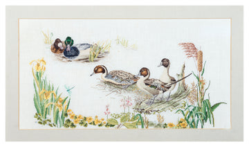 Ducks - Linen - 36 - 2064
