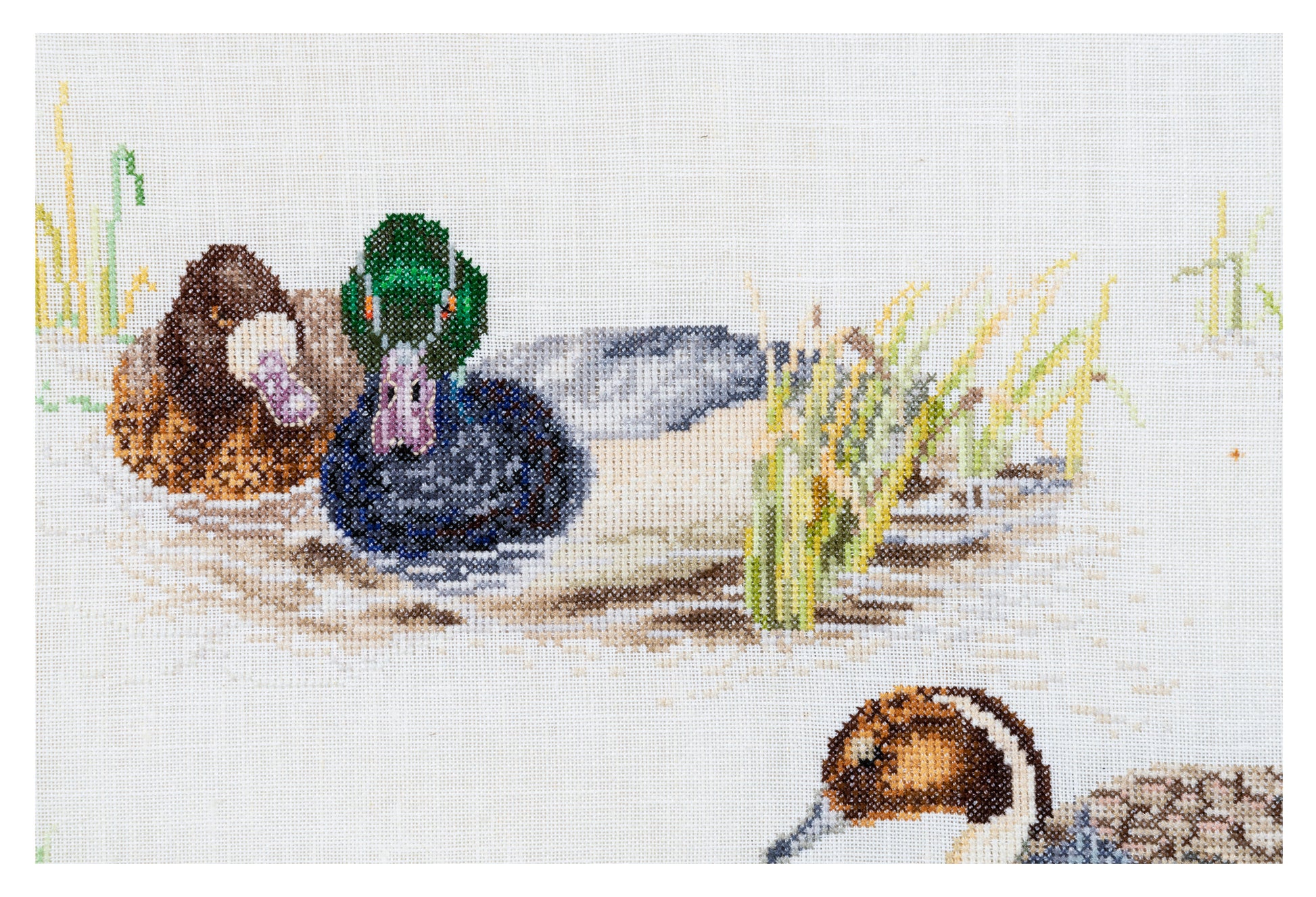 Ducks - Linen - 36 - 2064-Thea Gouverneur Since 1959