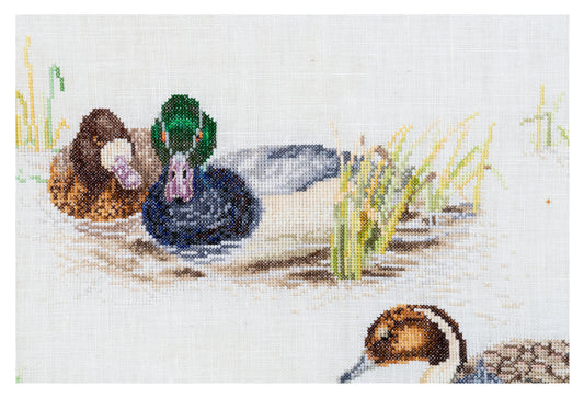 Ducks  - Aida - 18 - 2064A-Thea Gouverneur Since 1959