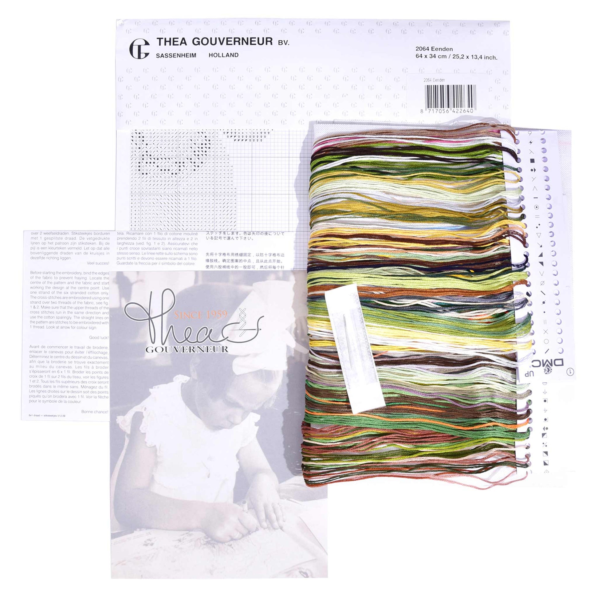 Embroidery kit with pattern and chart, needlework fabric, and threads on the floss organizer.