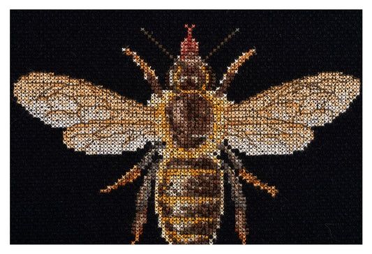 Honey Bee - Aida Black - 16 - 3017.05