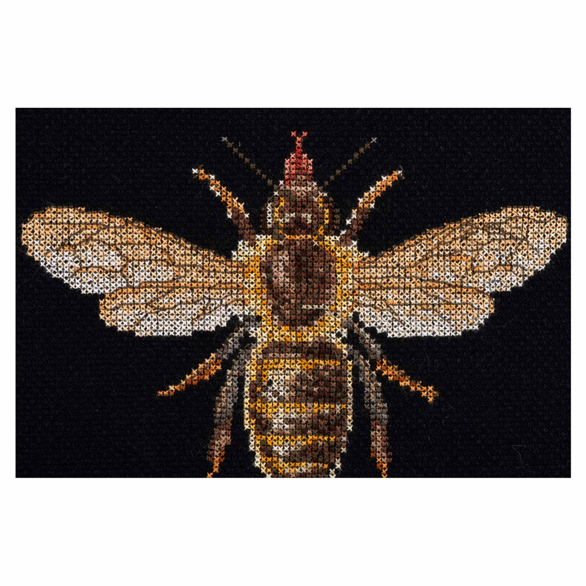 Honey Bee Cross Stitch Kit - Aida Black 18 Count