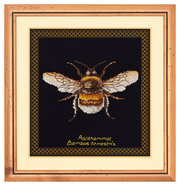 Bumble Bee - Aida Black - 18 count - 3018.05