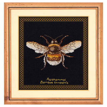Framed cross-stitched Bumble Bee on a honeycomb pattern