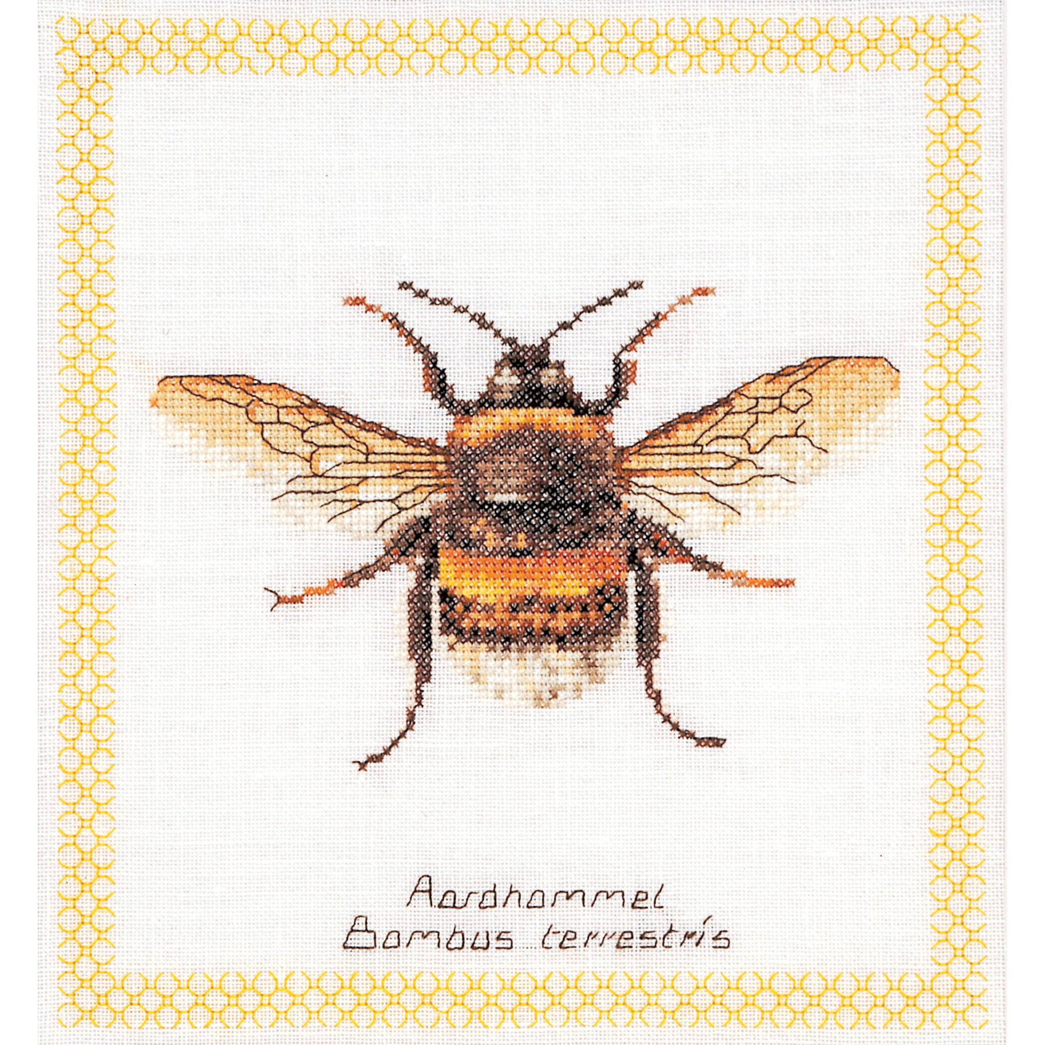 Bumble Bee - Aida - 16 - 3018A