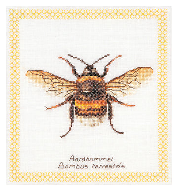 Bumble Bee - Aida - 16 - 3018A