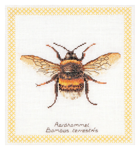 Bumble Bee - Aida - 16 - 3018A