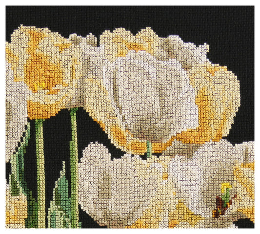 Tulips - Aida Black - 14 - 3065.05