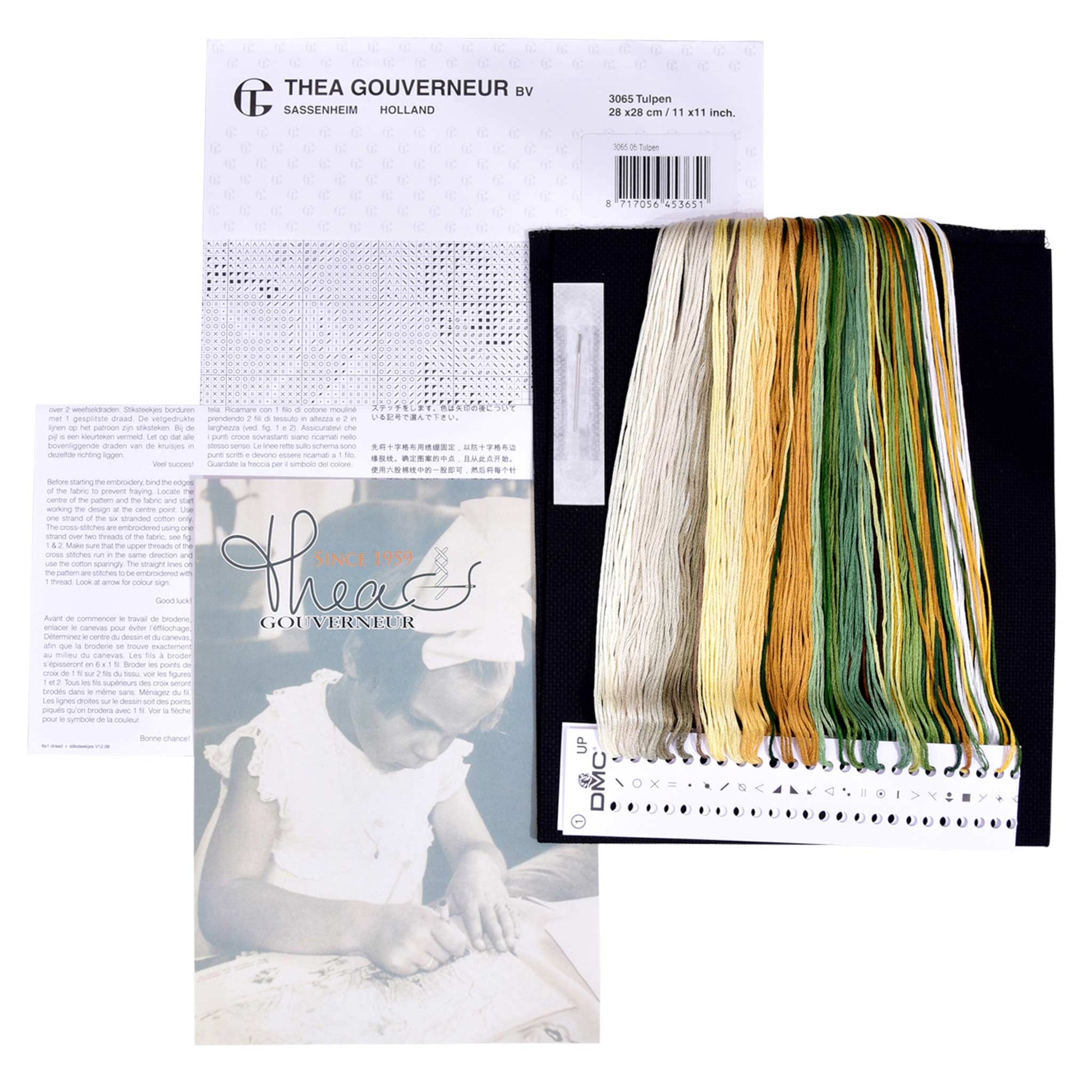 Embroidery kit content: Aida needlework fabrics, printed chart, colorful dmc embroidery threads presorted on the floss organizer