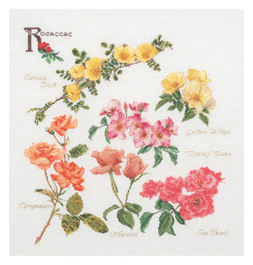 Rose Panel - Linen - 32 - 3066