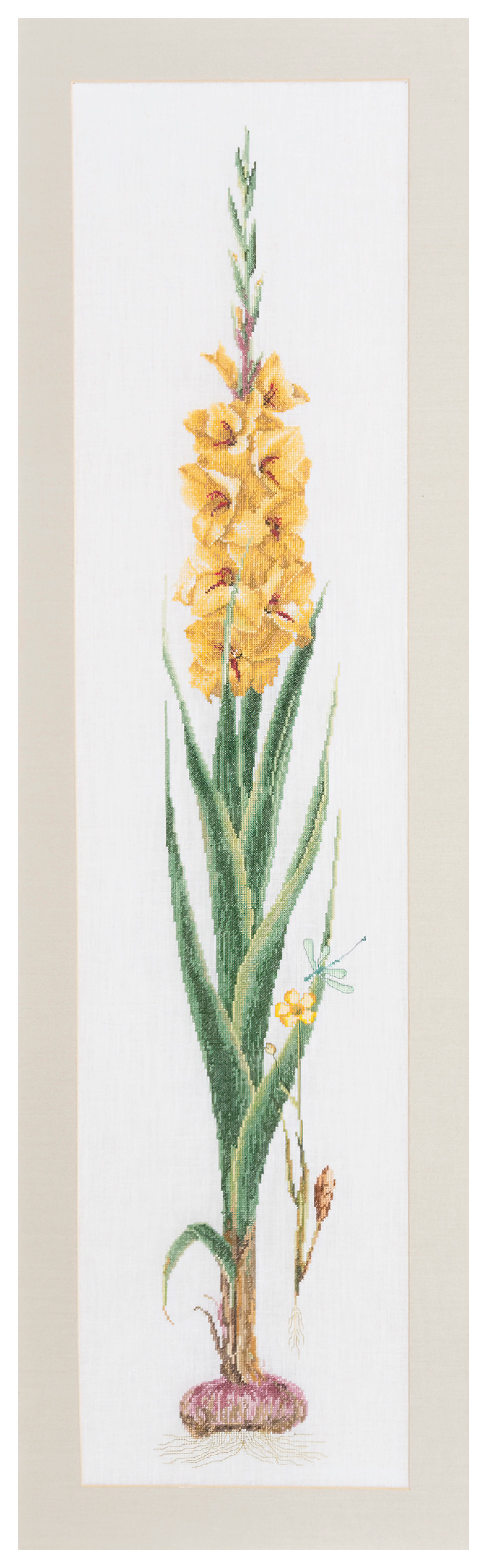 Gladioli Yellow  - Aida - 18 - 3072A-Thea Gouverneur Since 1959