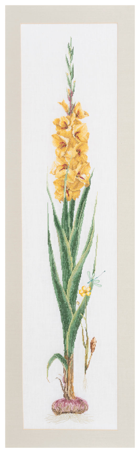 Gladioli Yellow  - Aida - 18 - 3072A