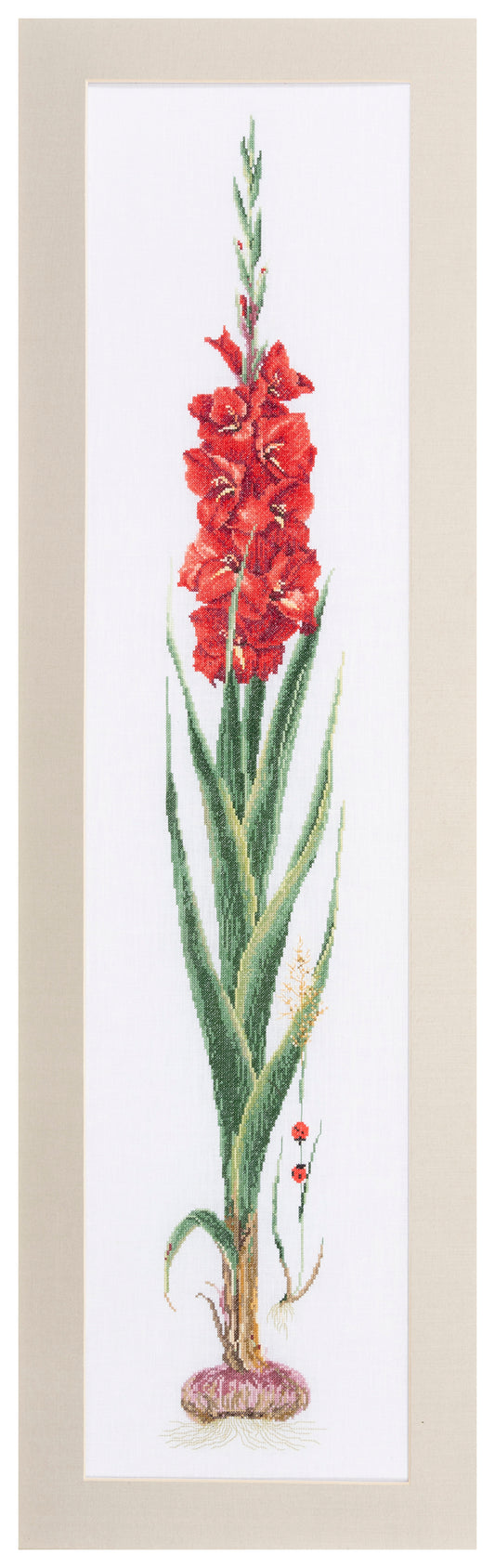 Gladioli Red - Aida - 18 - 3073A
