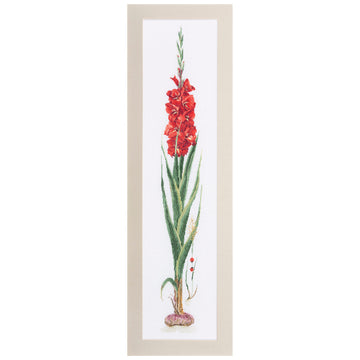 Gladioli Red - Linen - 36 - 3073