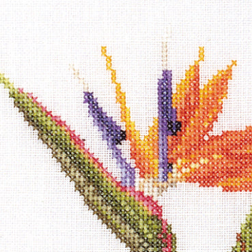 Cross-stitched piece of a colorful  flower on a white background