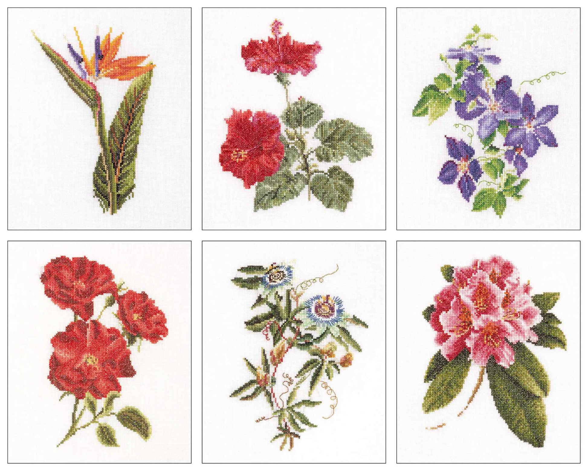 cross stitch Set of six floral designs on a white background