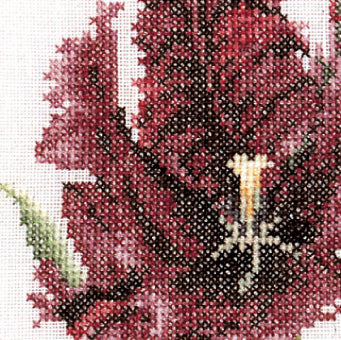 close up cross stitch flower
