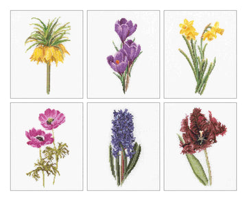 cross stitch design of six floral illustrations on a white background